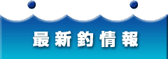 最新情報